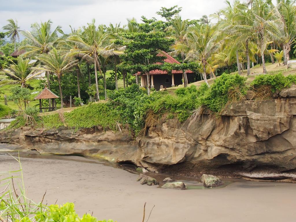 Gajah Mina Beach Resort Selemadeg  Exteriér fotografie