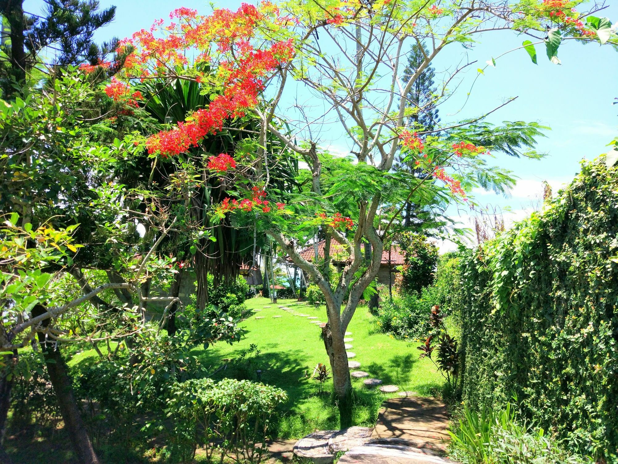 Gajah Mina Beach Resort Selemadeg  Exteriér fotografie
